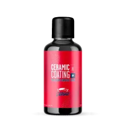 Detroit Surface Ceramic Coating 4Υrs Κεραμικό 4ετίας